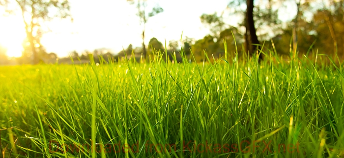 在线轰炸机电话软件