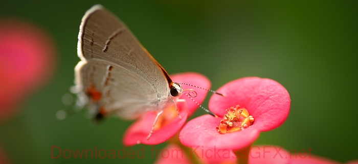 一手货源供应的轰炸别人手机号码软件